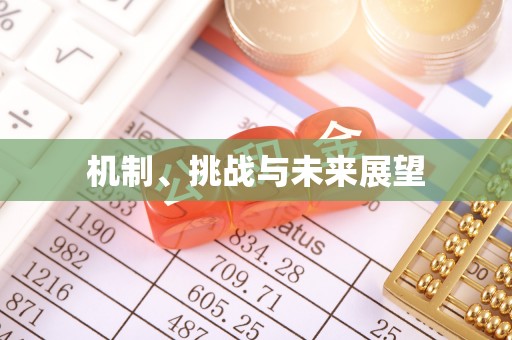 青白江机制、挑战与未来展望